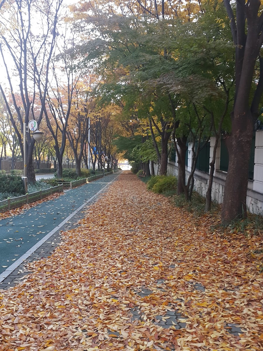 궁내공원 사진