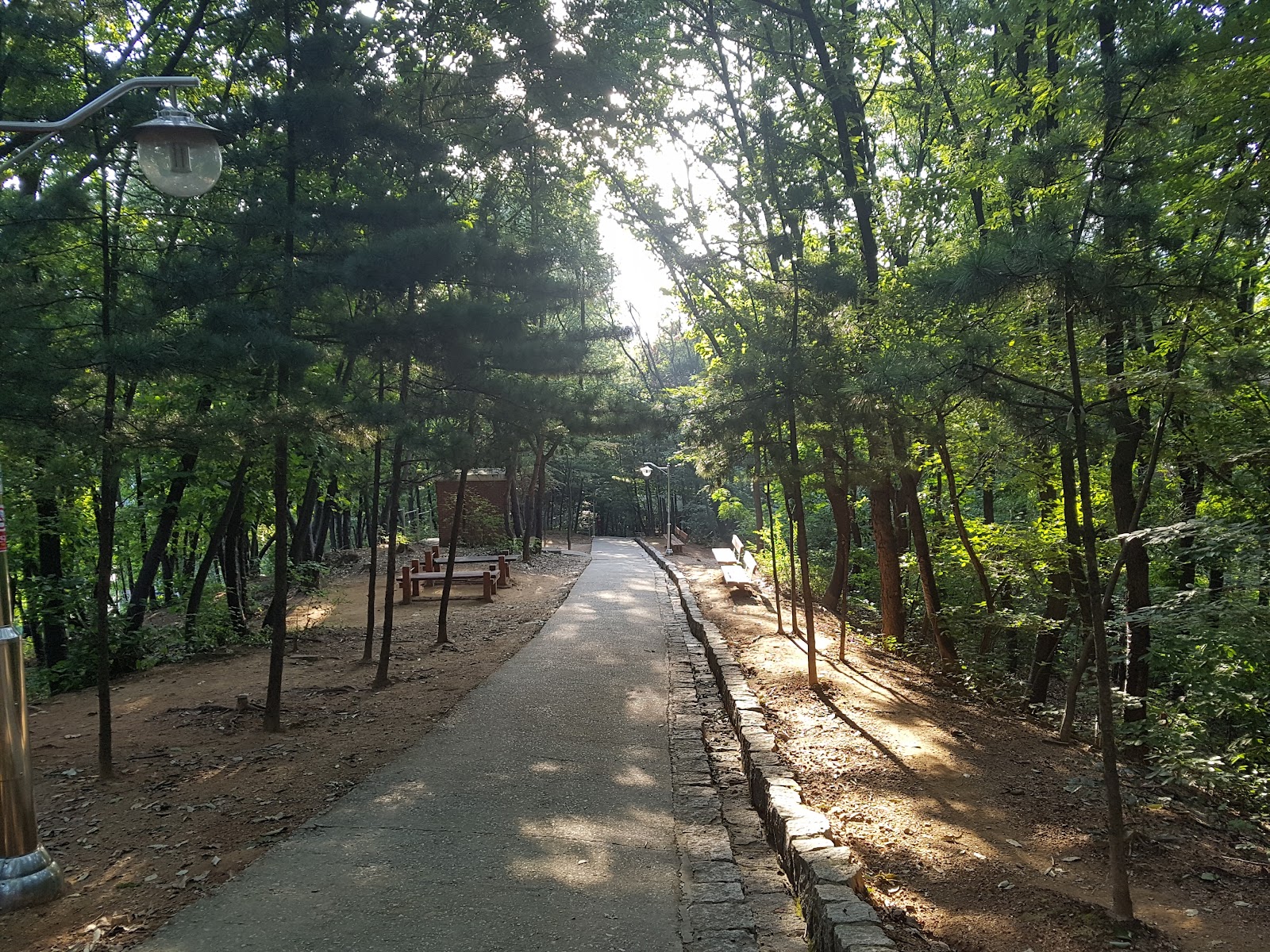 능안공원 사진
