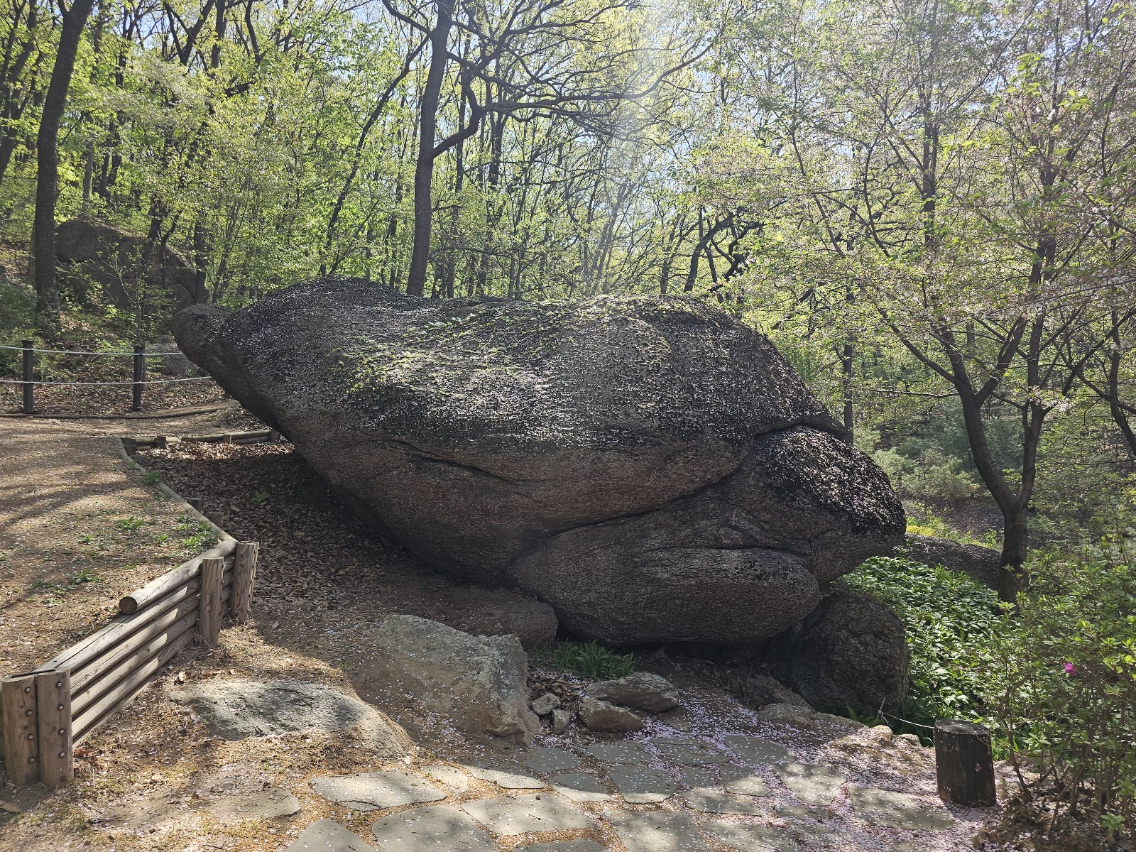 모락공원 사진