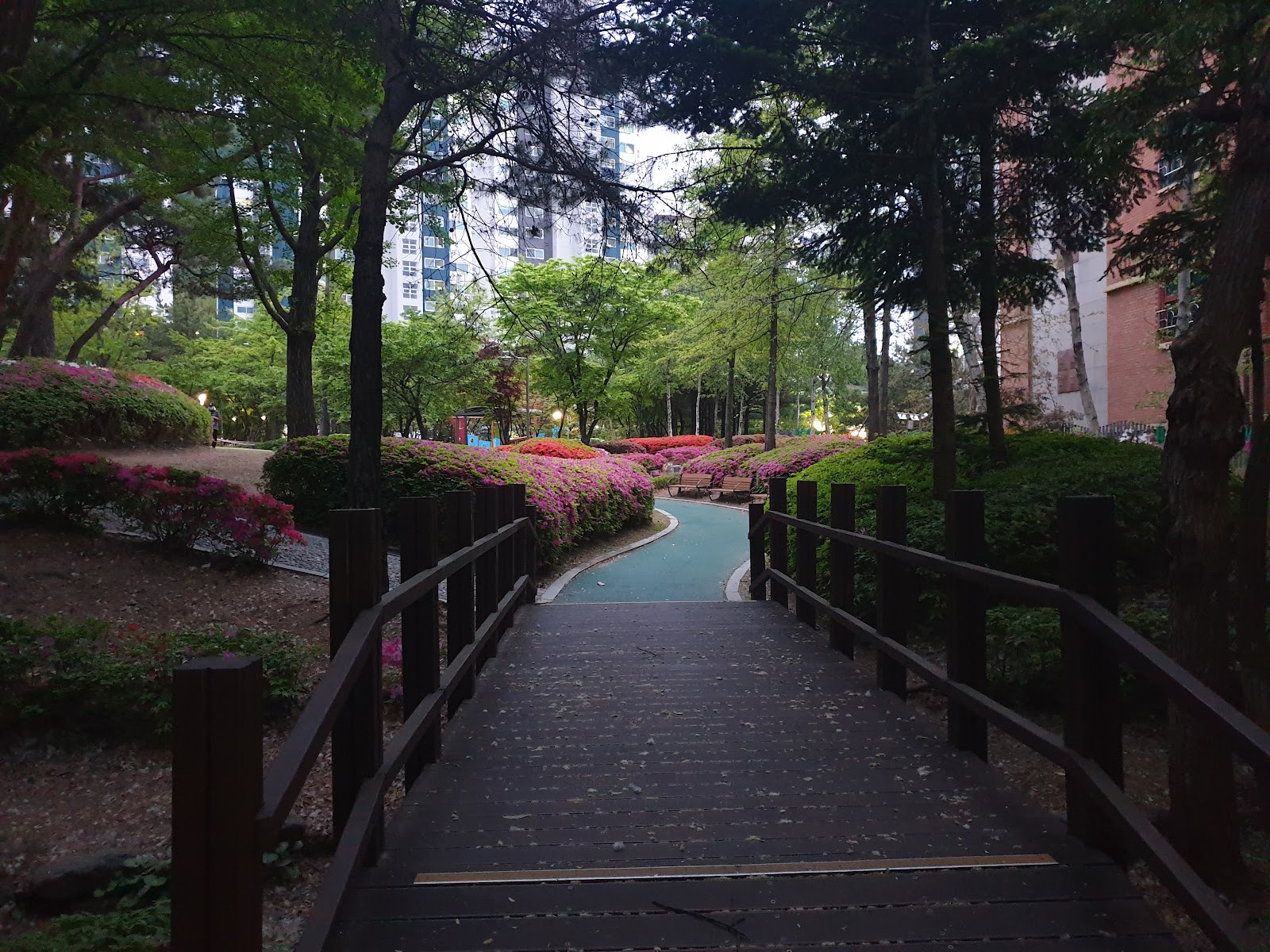 갈미중앙공원 사진