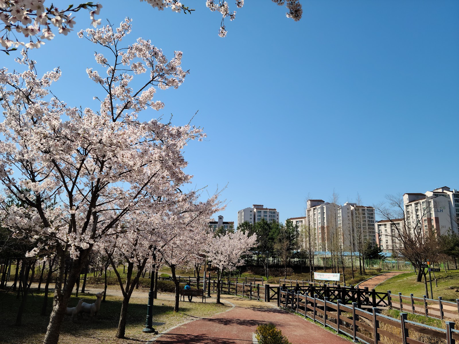 산빛공원 사진