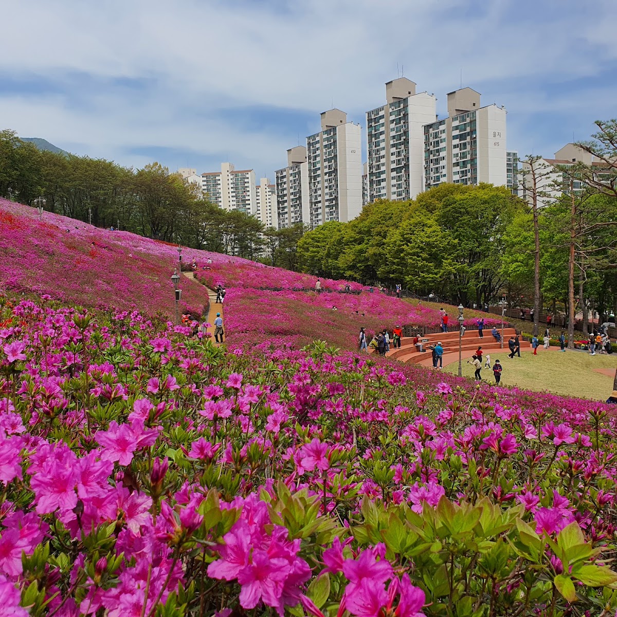 철쭉공원 사진