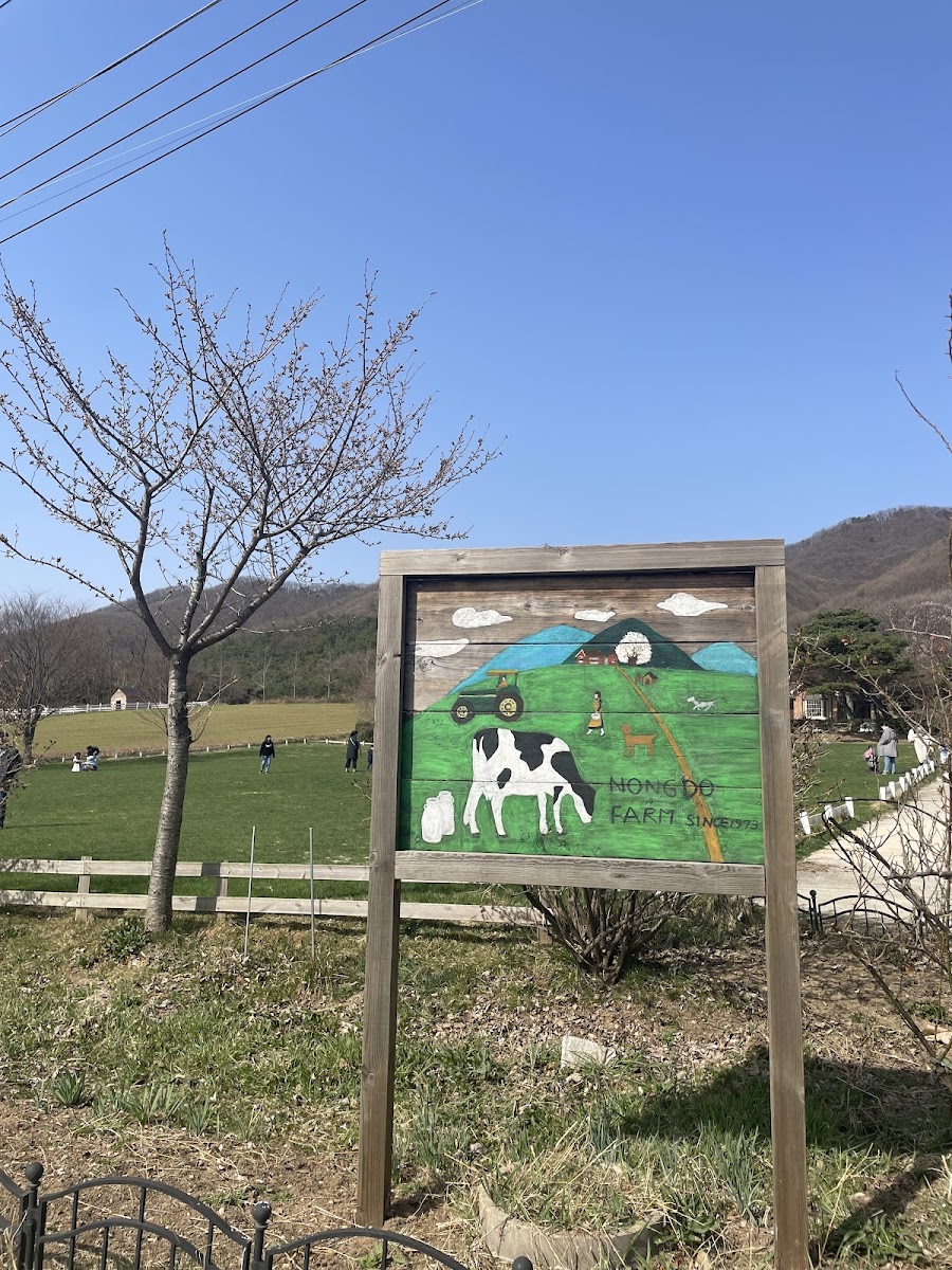 농도원목장 사진