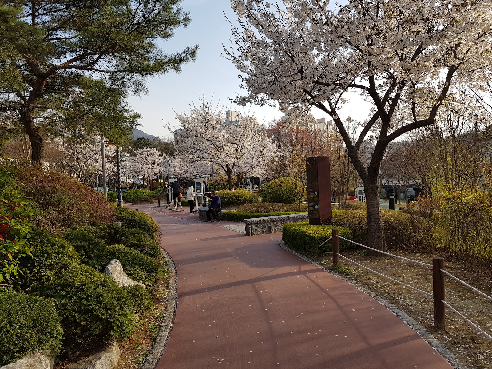 삼덕공원 사진