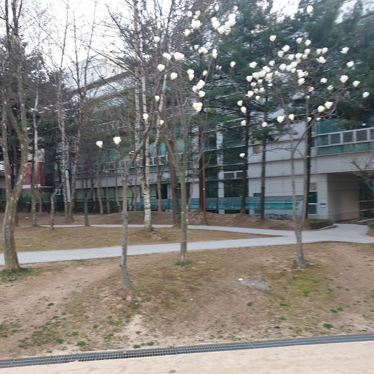 안양어린이도서관 사진