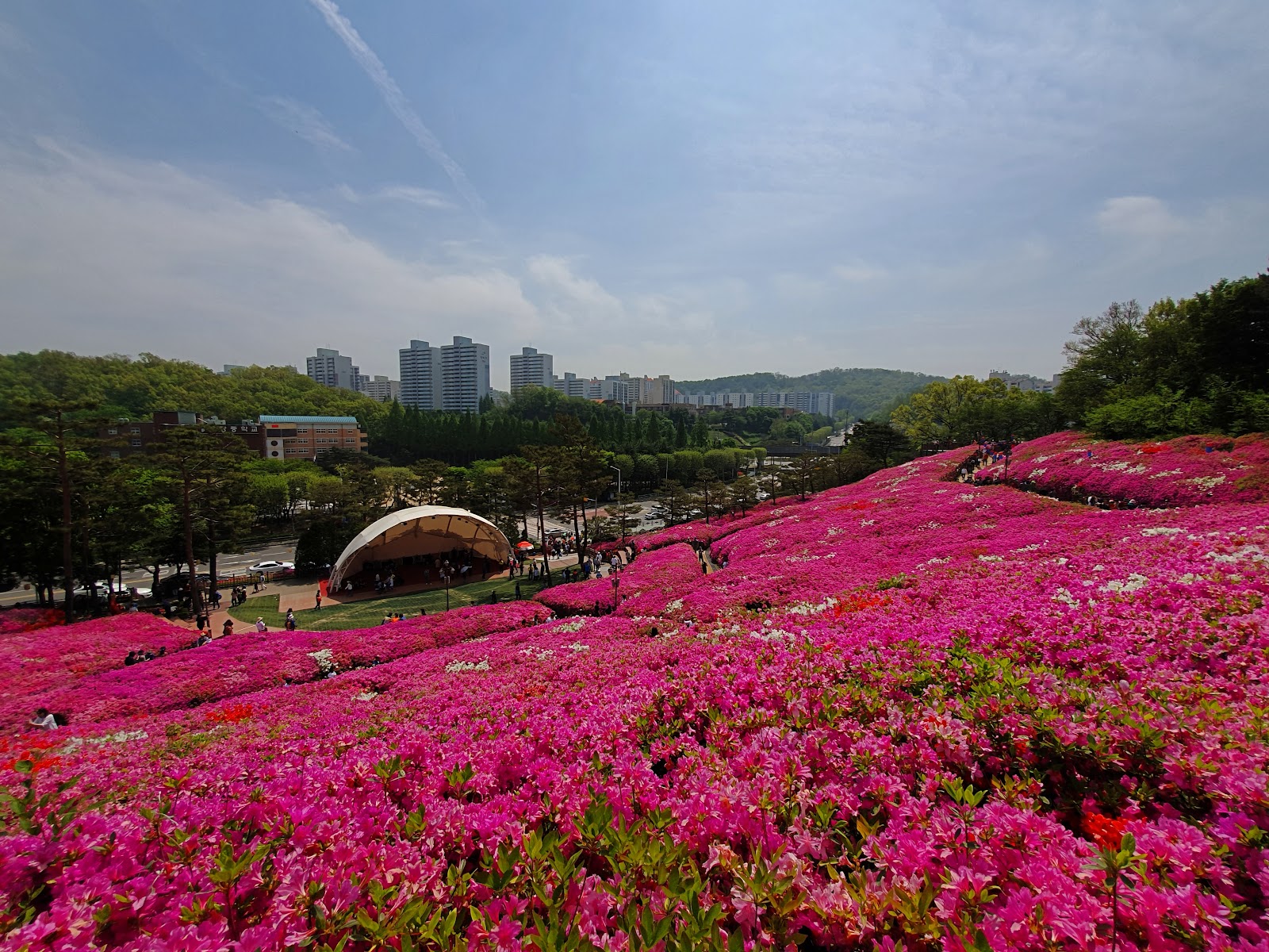 철쭉동산 사진