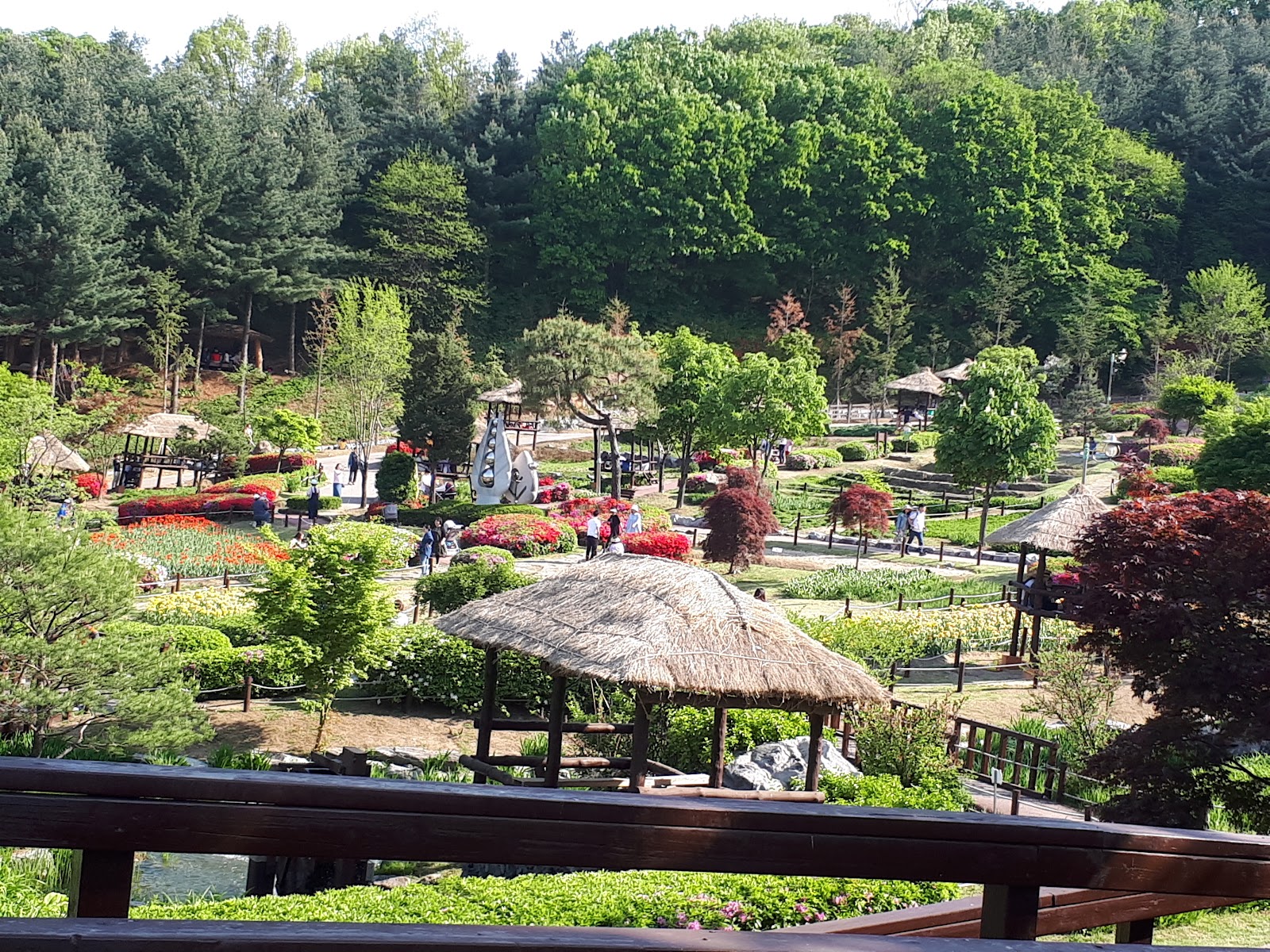 용인농촌테마파크 사진