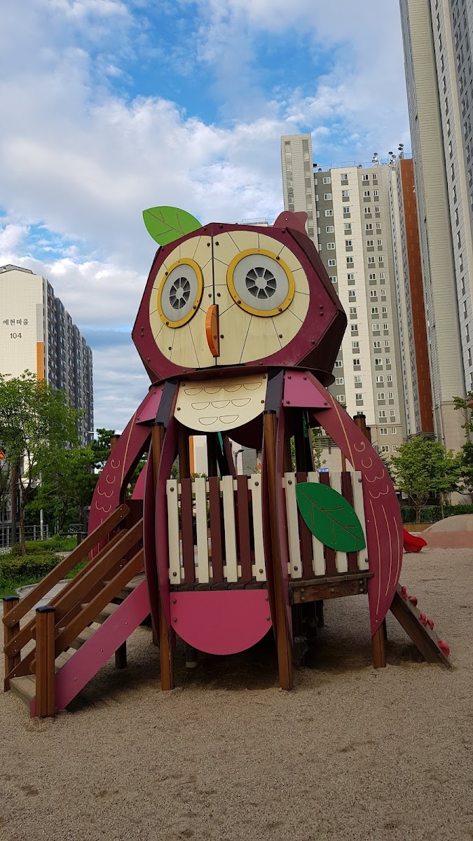 숲속부엉이 사진