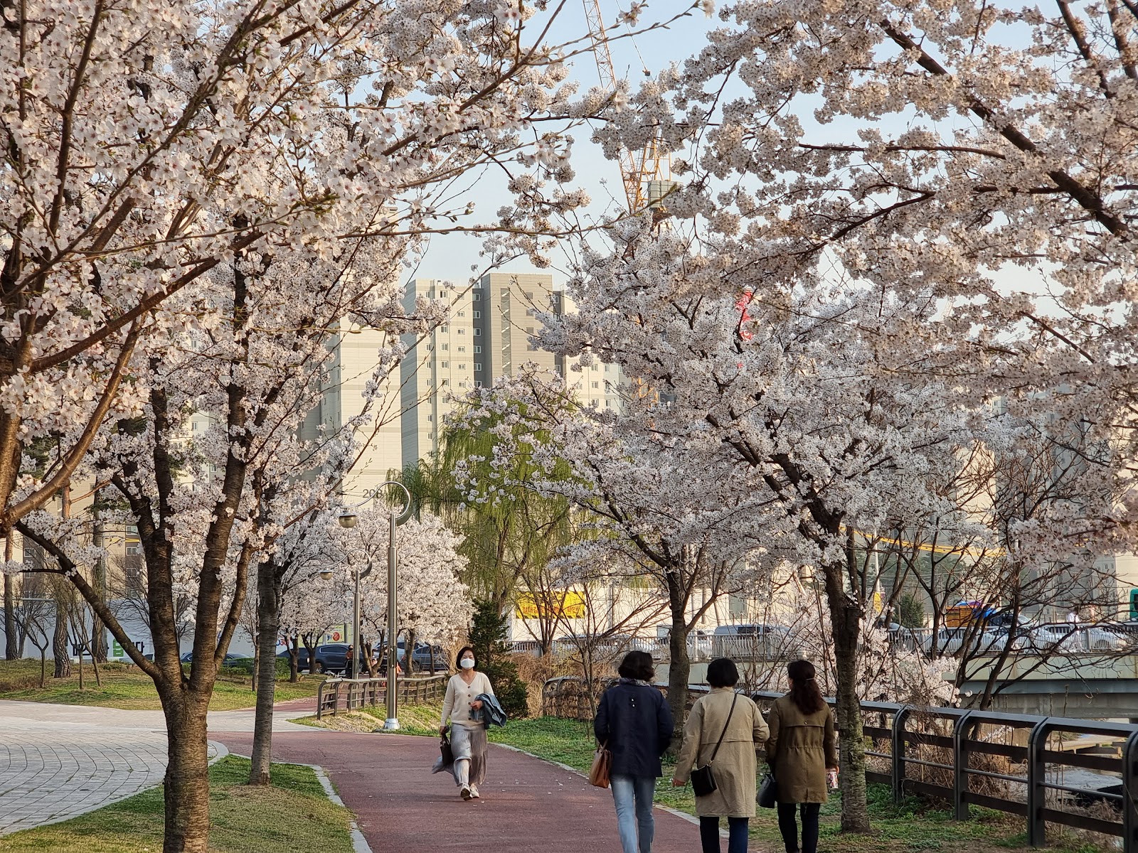 신동수변공원 사진