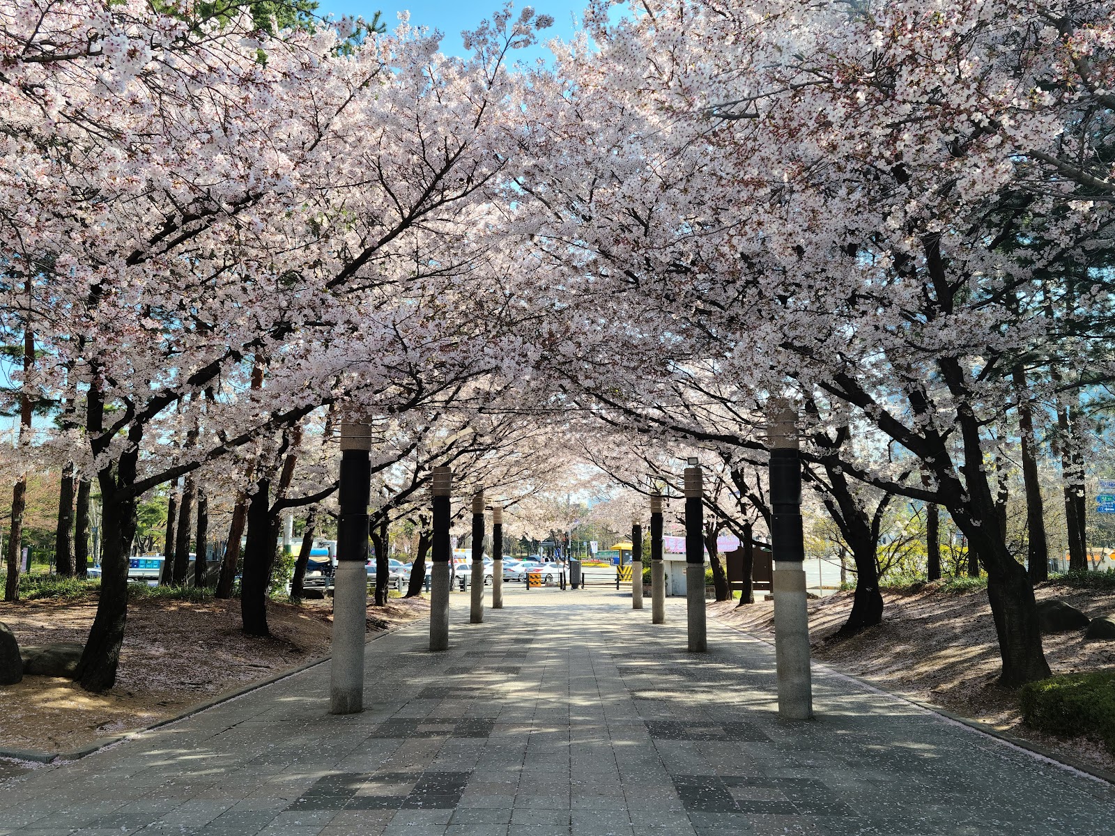 매여울 사진