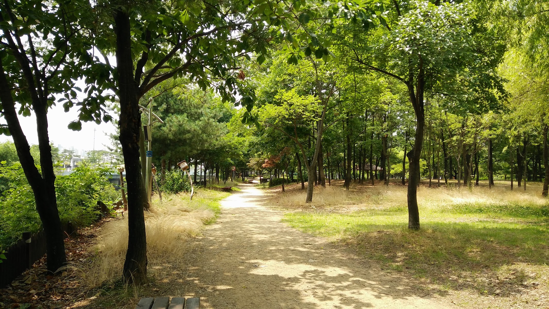 머내생태 사진