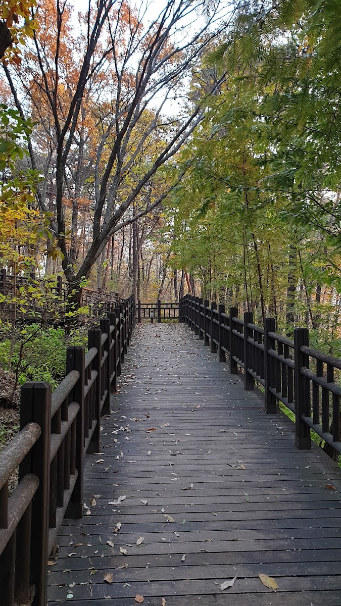 성죽 사진