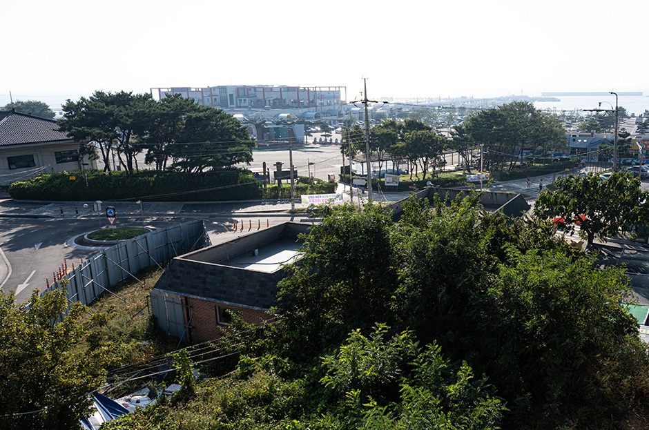 궁평항광장 사진