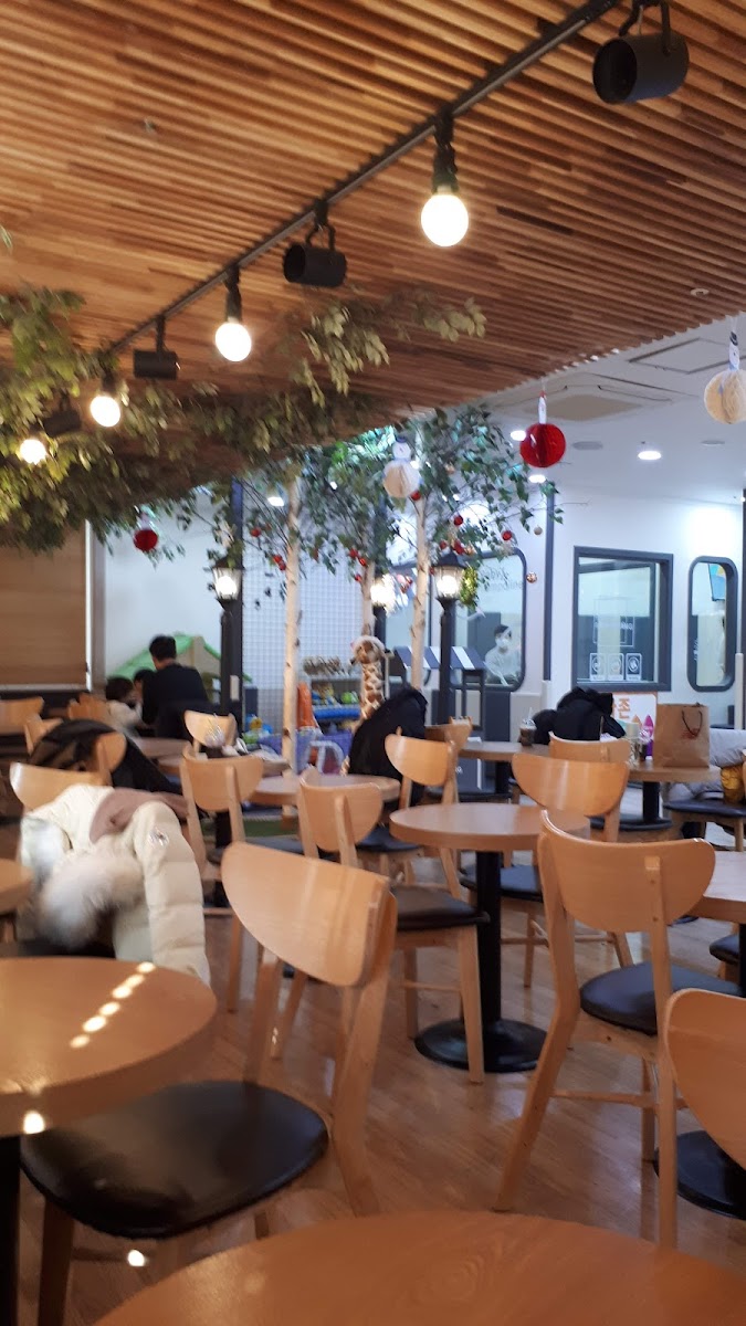 헬로방방 동탄점 사진