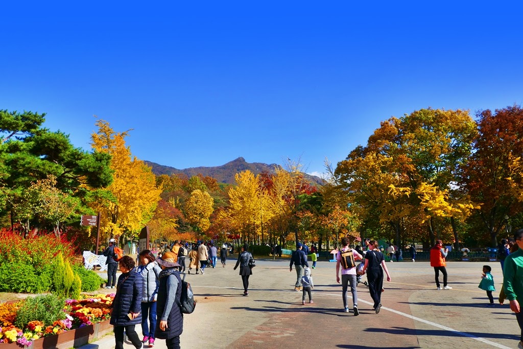 서울대공원 사진