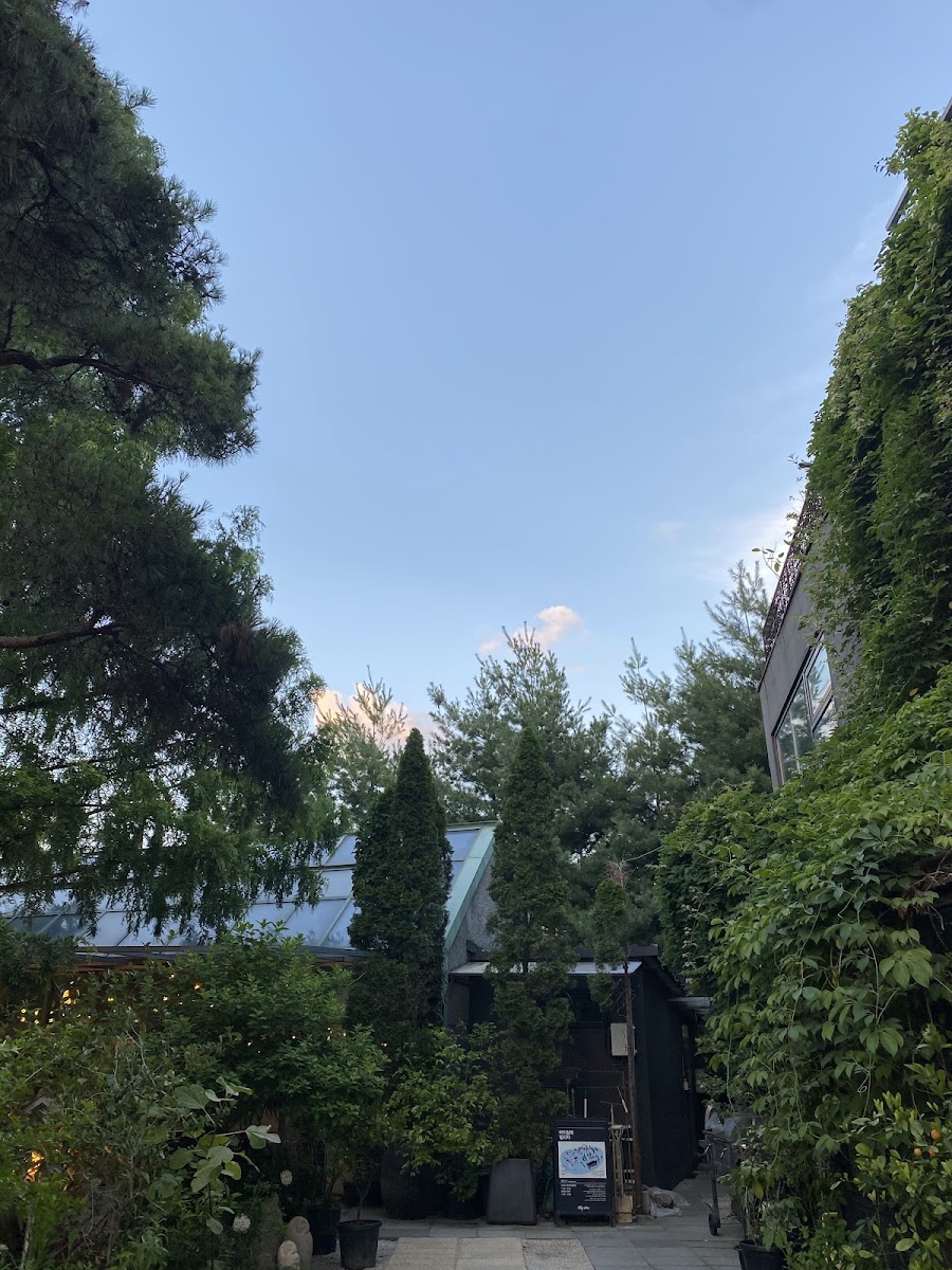 마이알레 사진