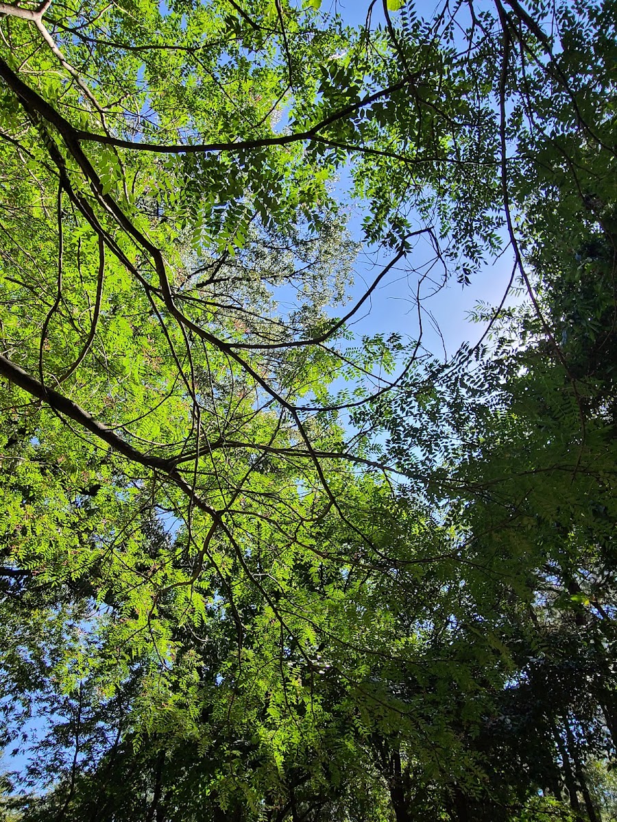밤밭공원 사진