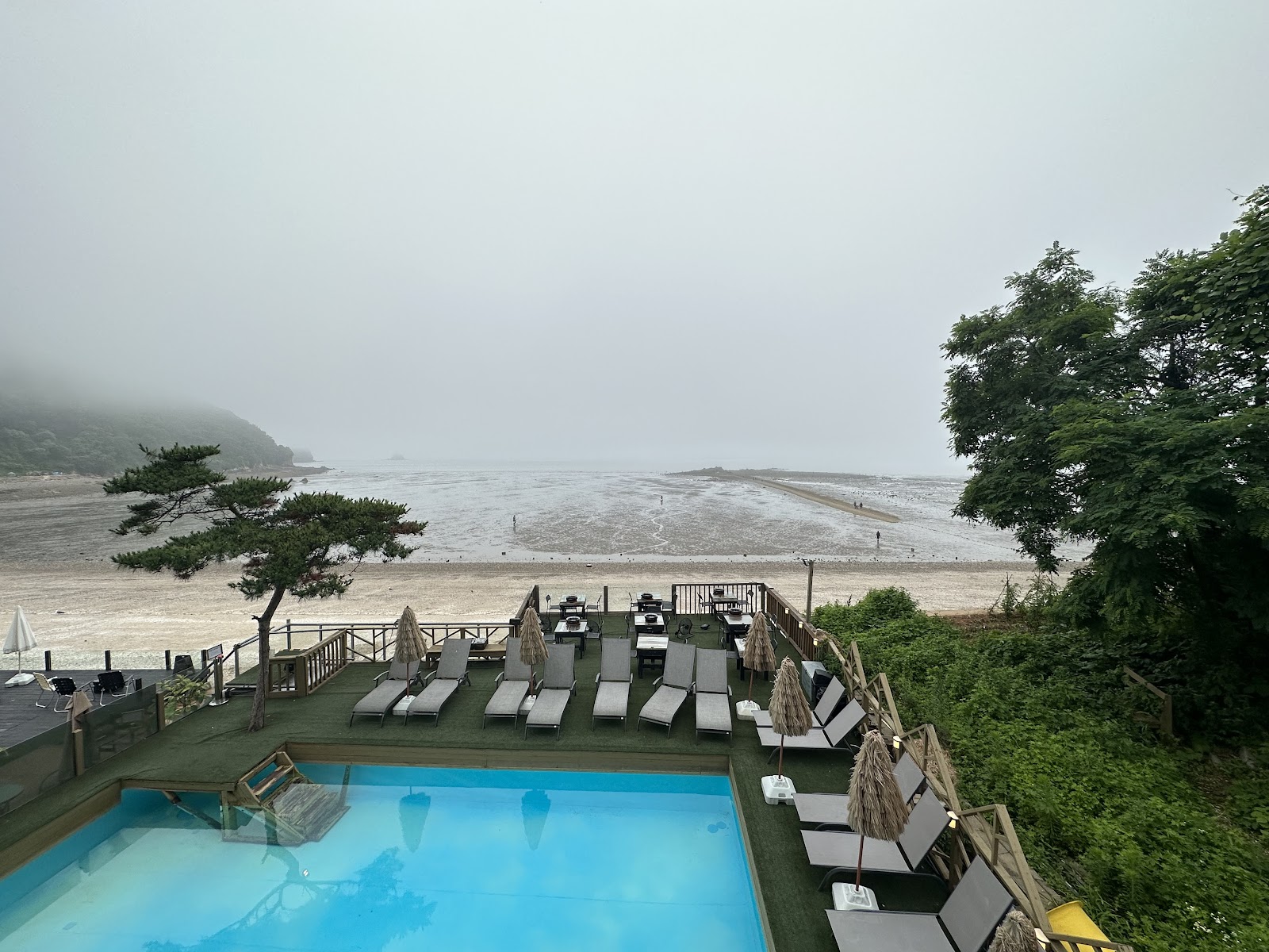 구봉솔숲해수욕장 사진