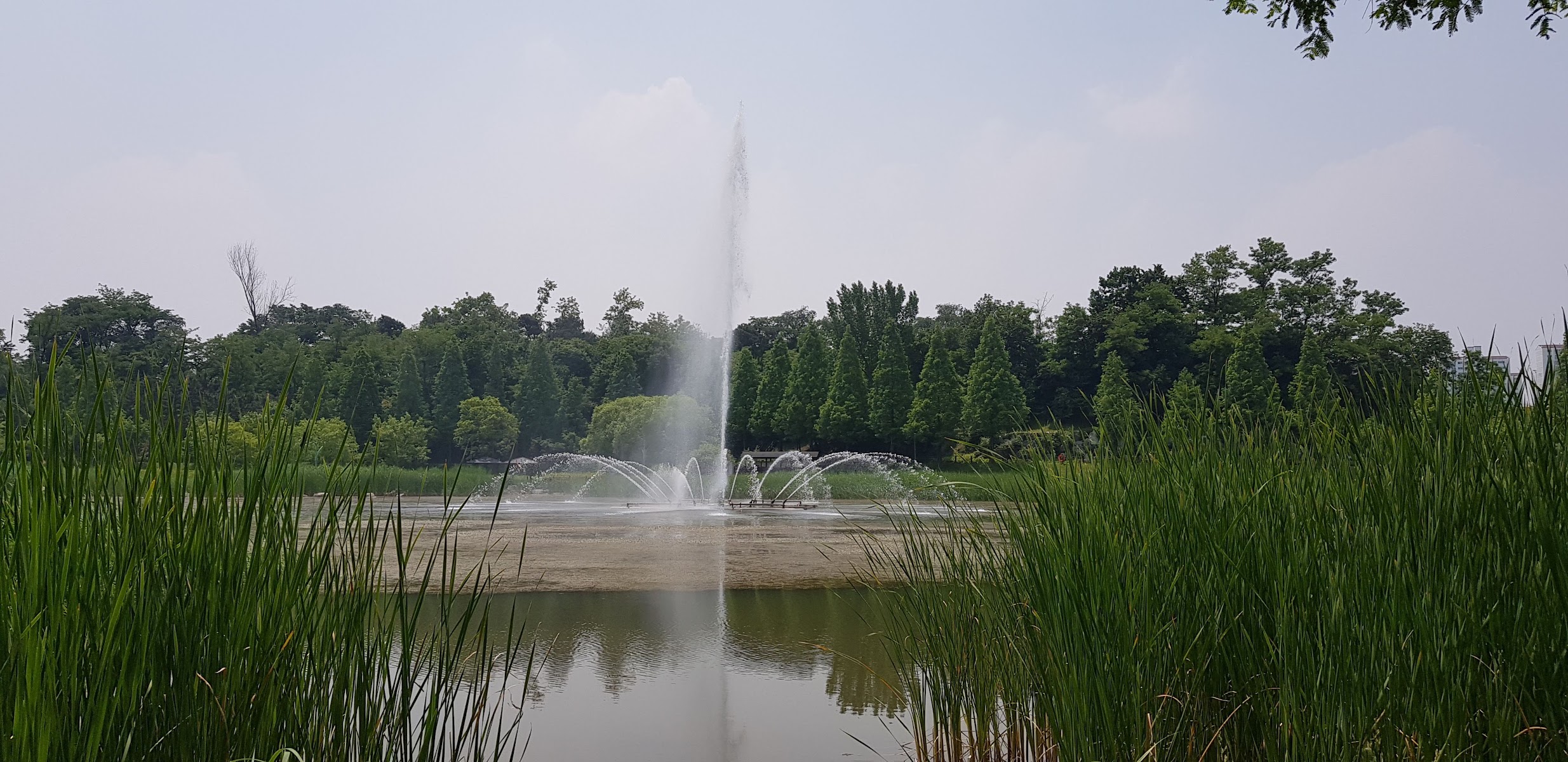 안산호수공원 사진
