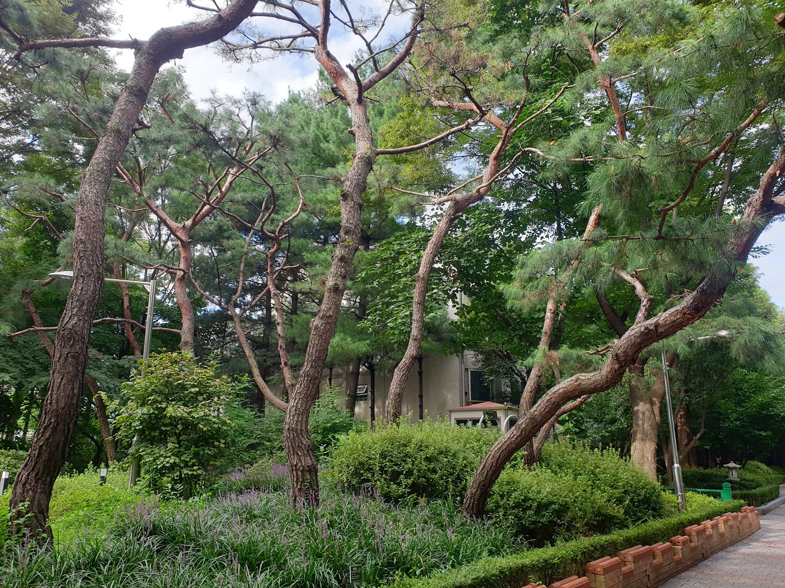 하얀공원 사진