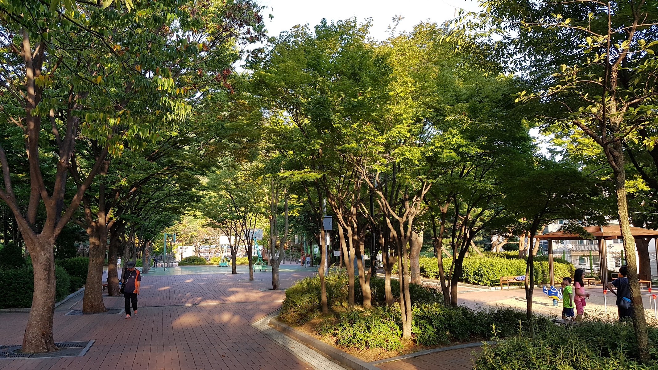 은행공원 사진