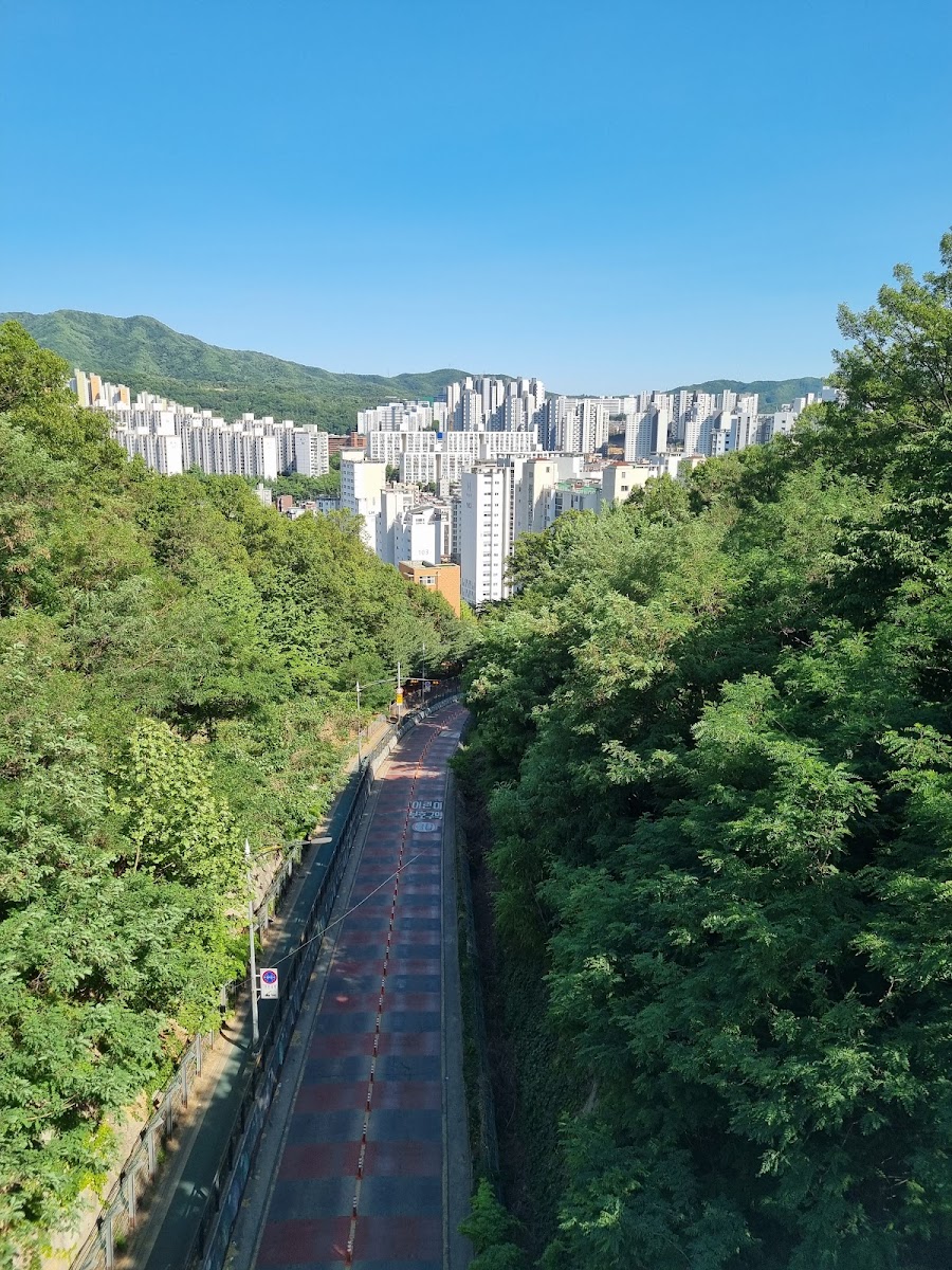 단대공원 사진