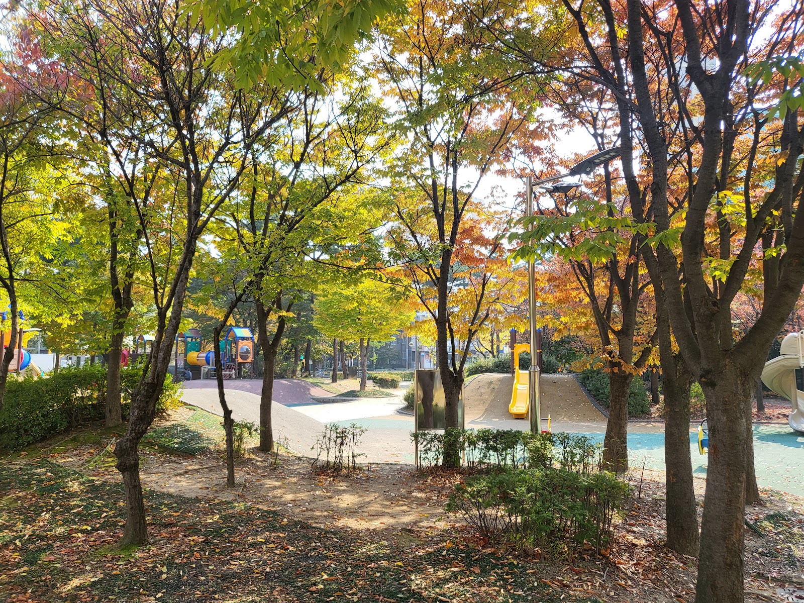 판교제12호(숲안)공원 사진
