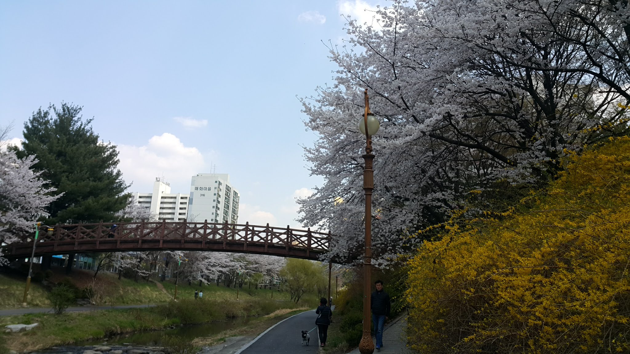 숲속공원 사진