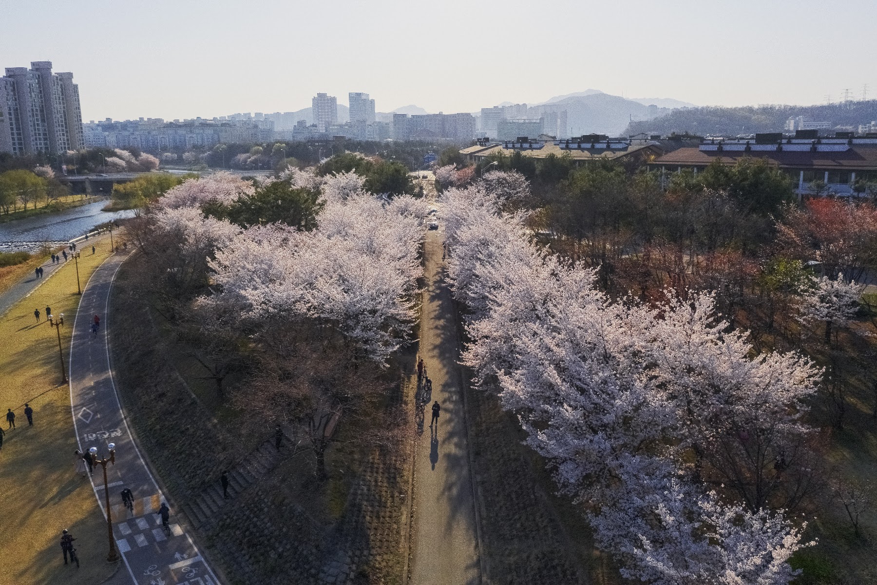 구미공원 사진