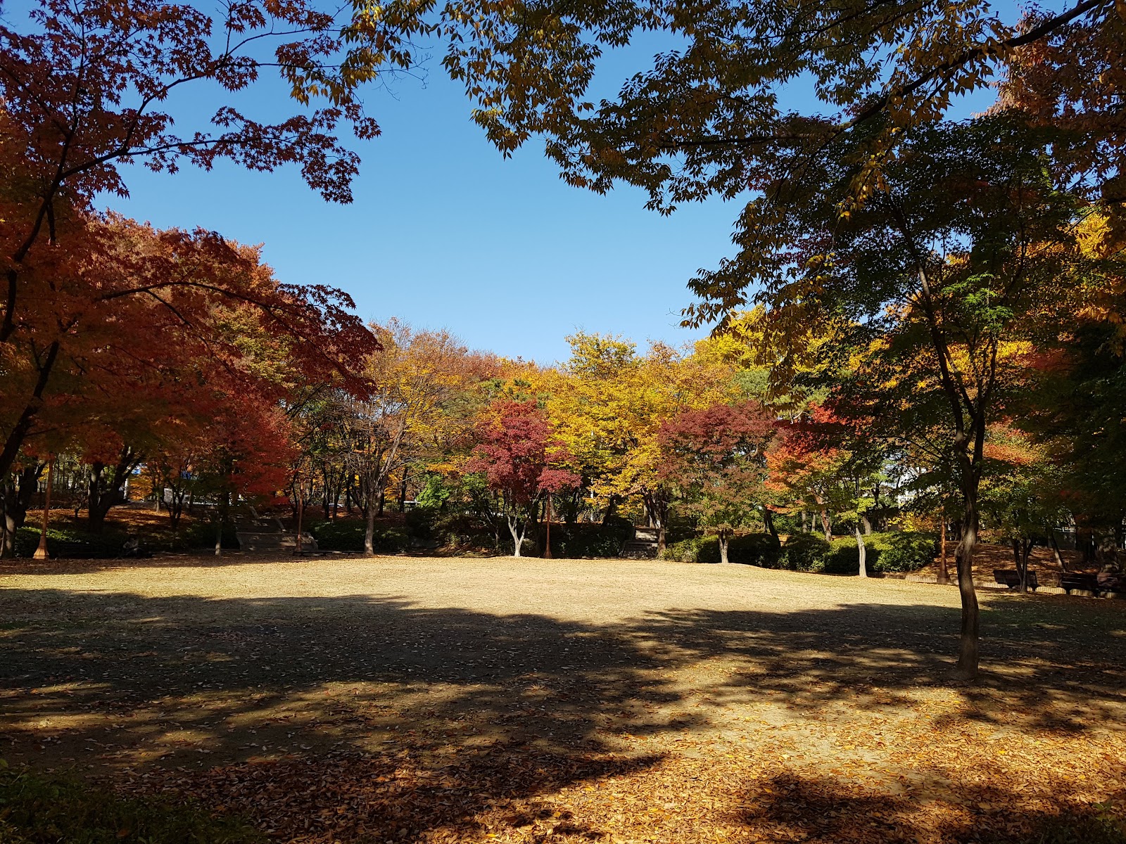 오리공원 사진
