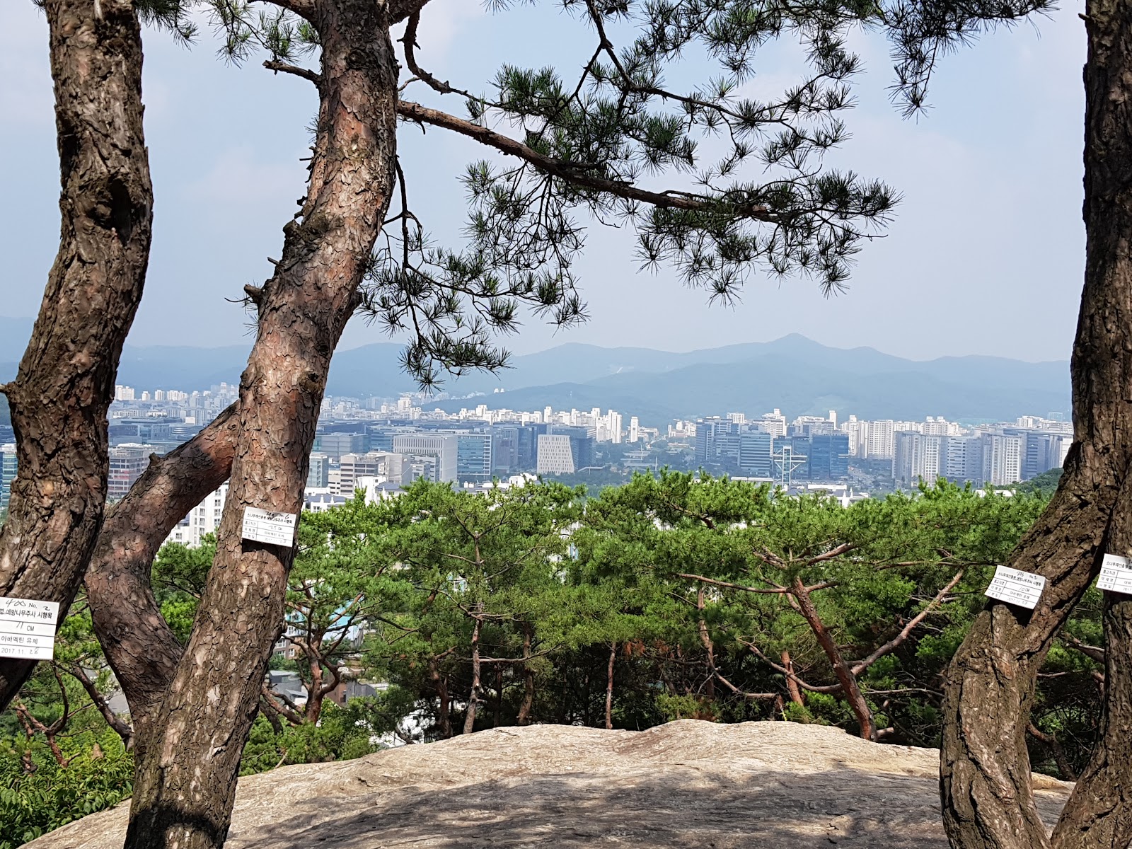 판교공원 사진