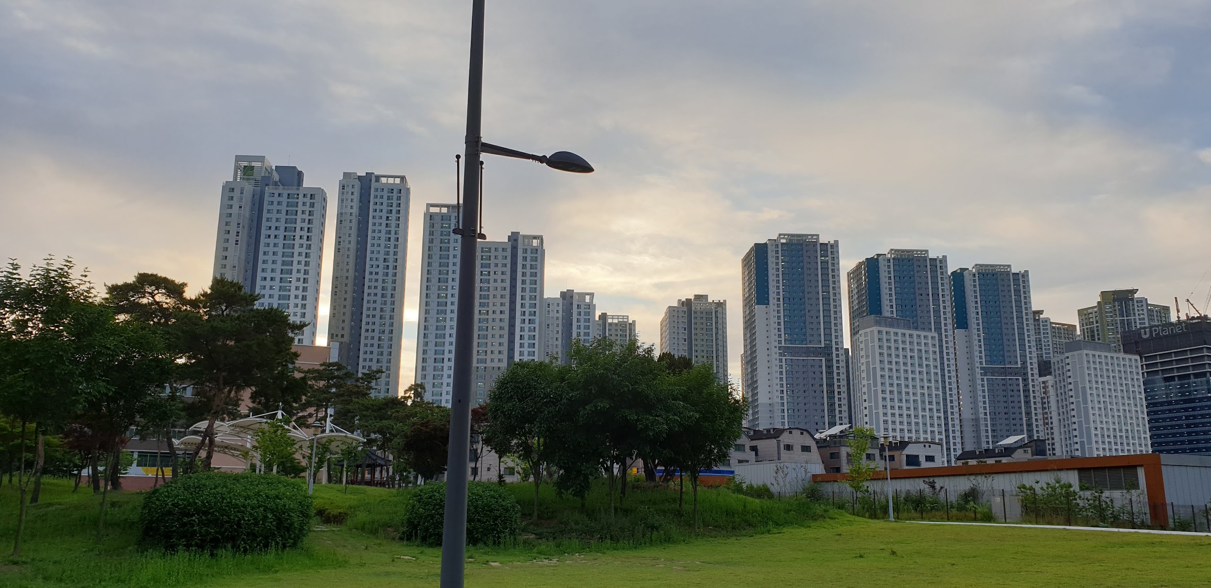 일직수변공원 사진