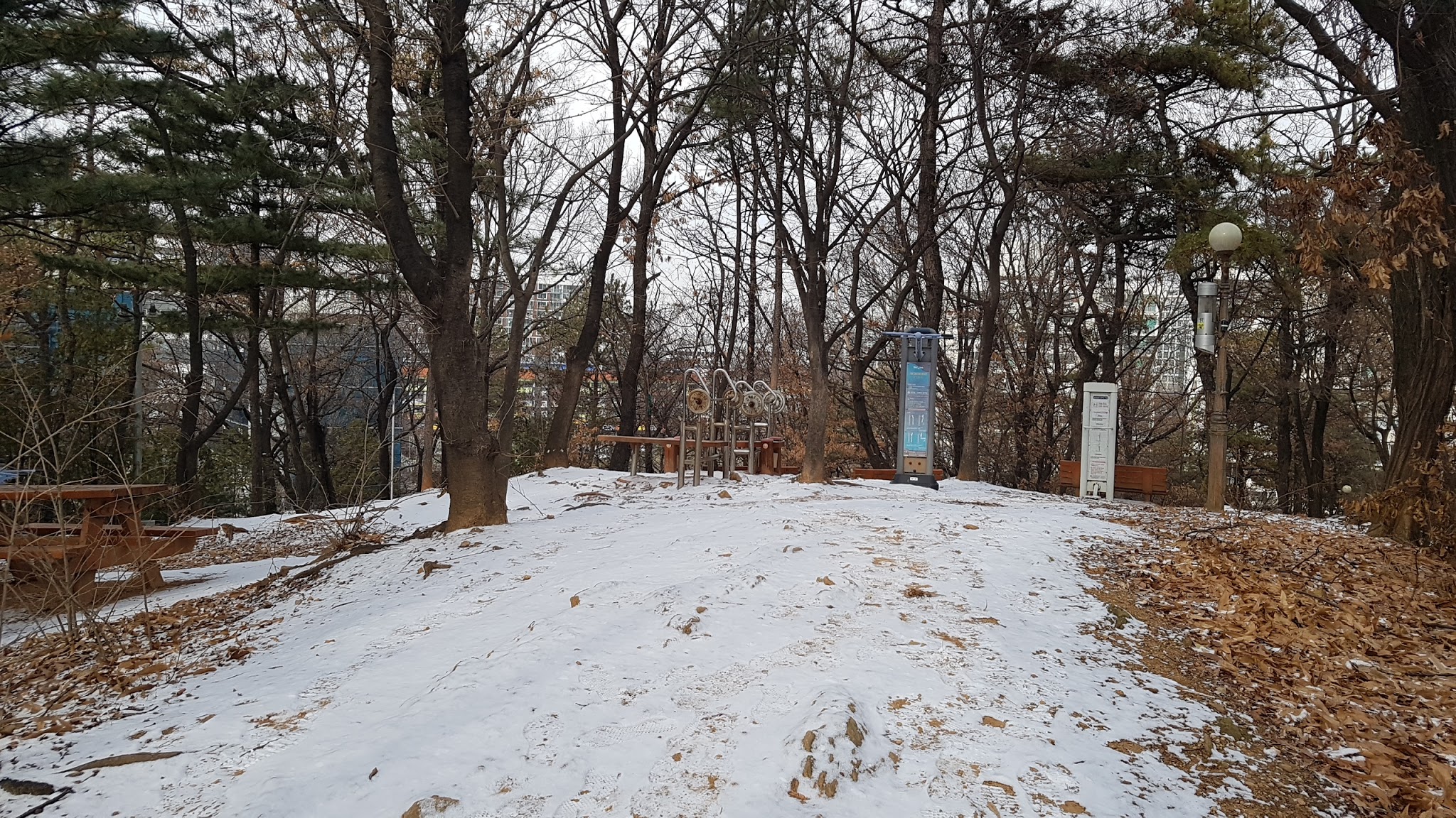 왕재산 사진