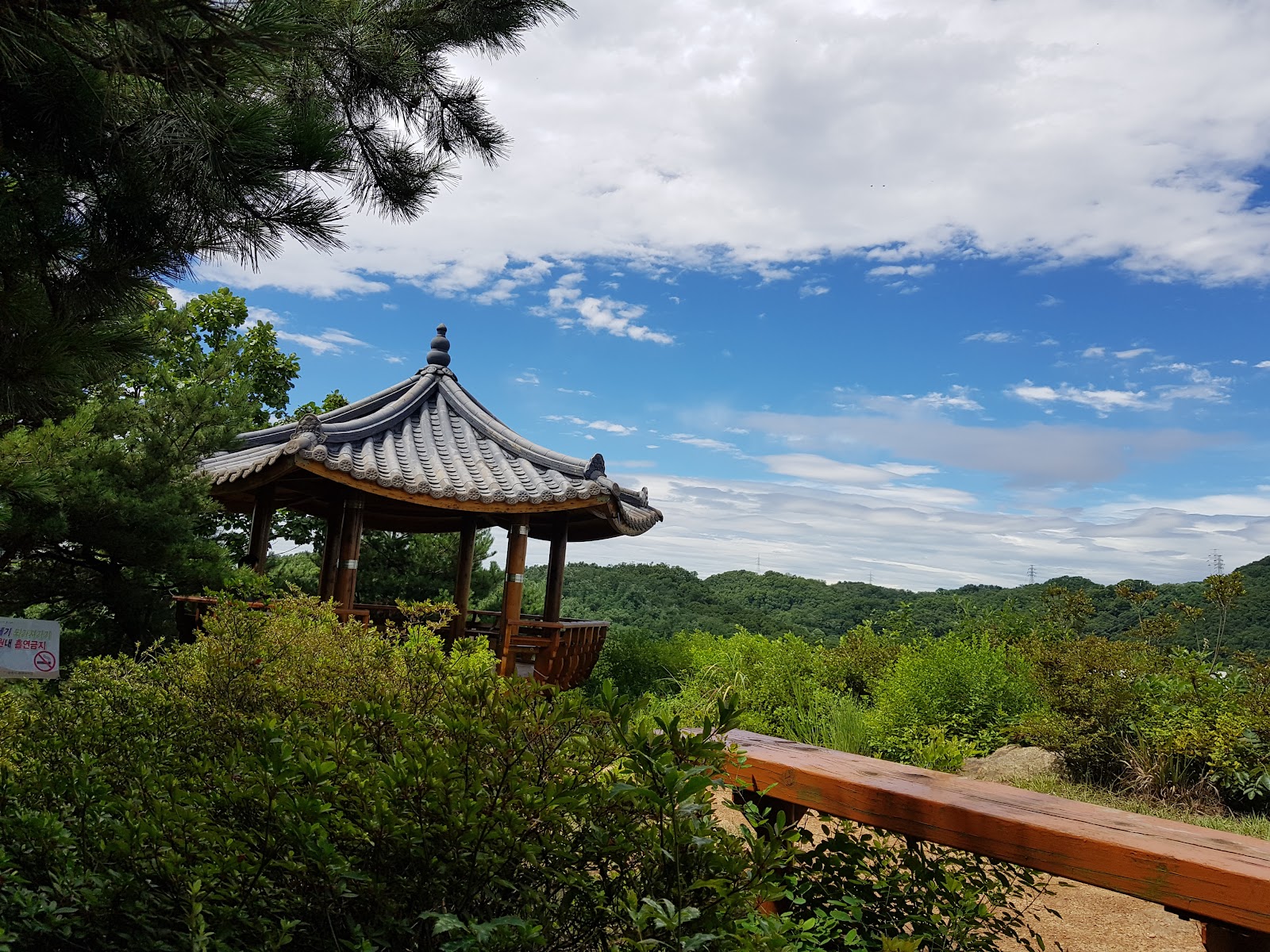 철망산 사진