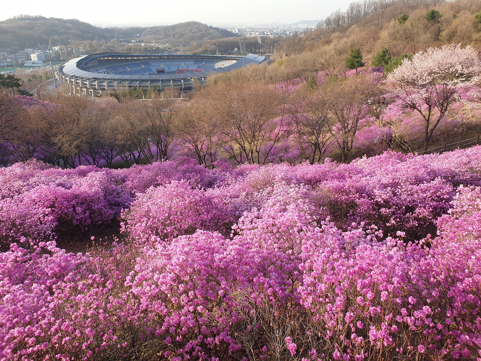 원미공원 사진