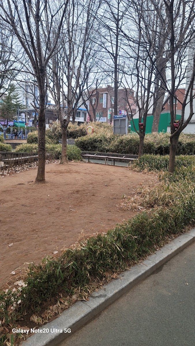 은행공원 사진