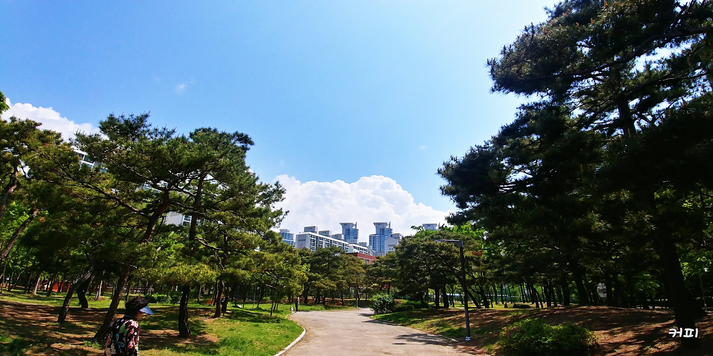 소향공원 사진