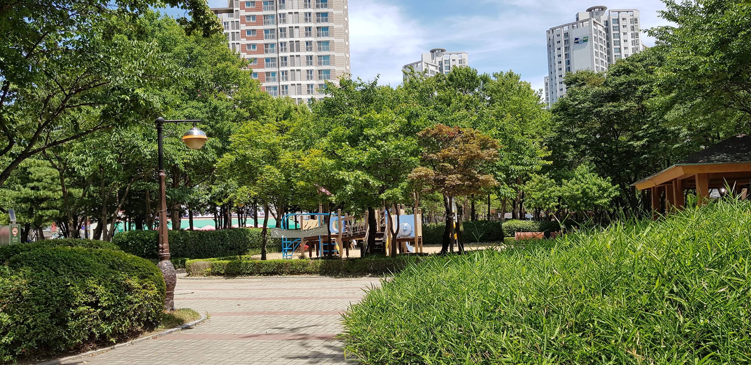 약대공원 사진