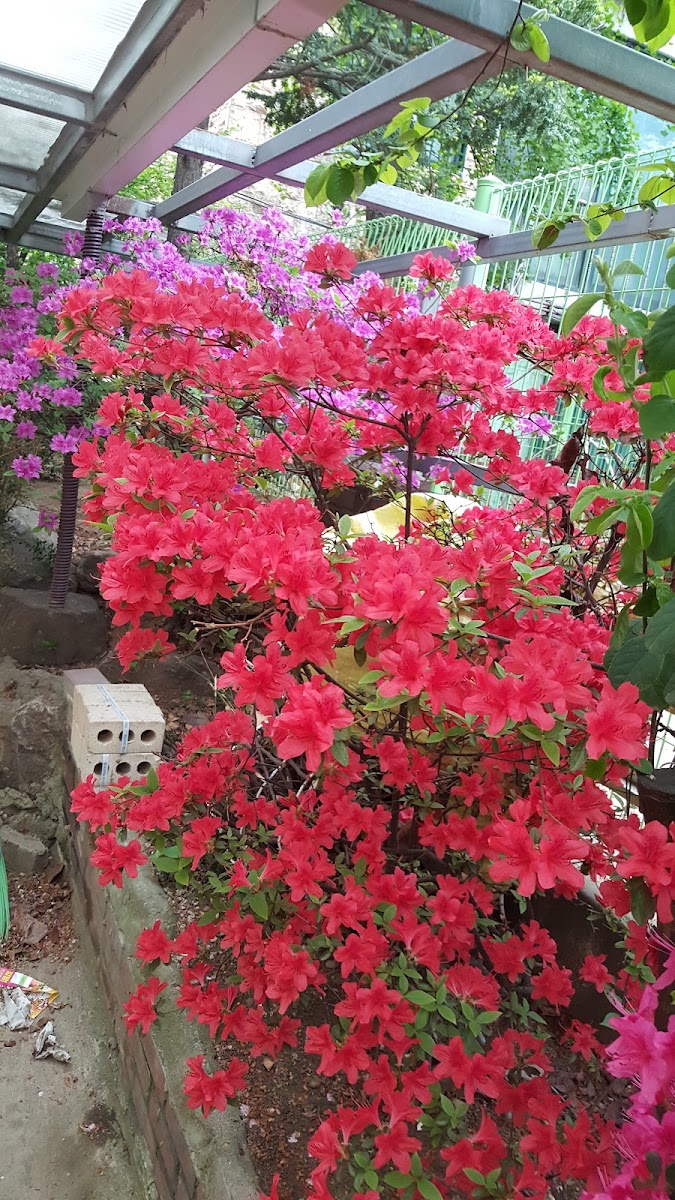 옥산공원 사진