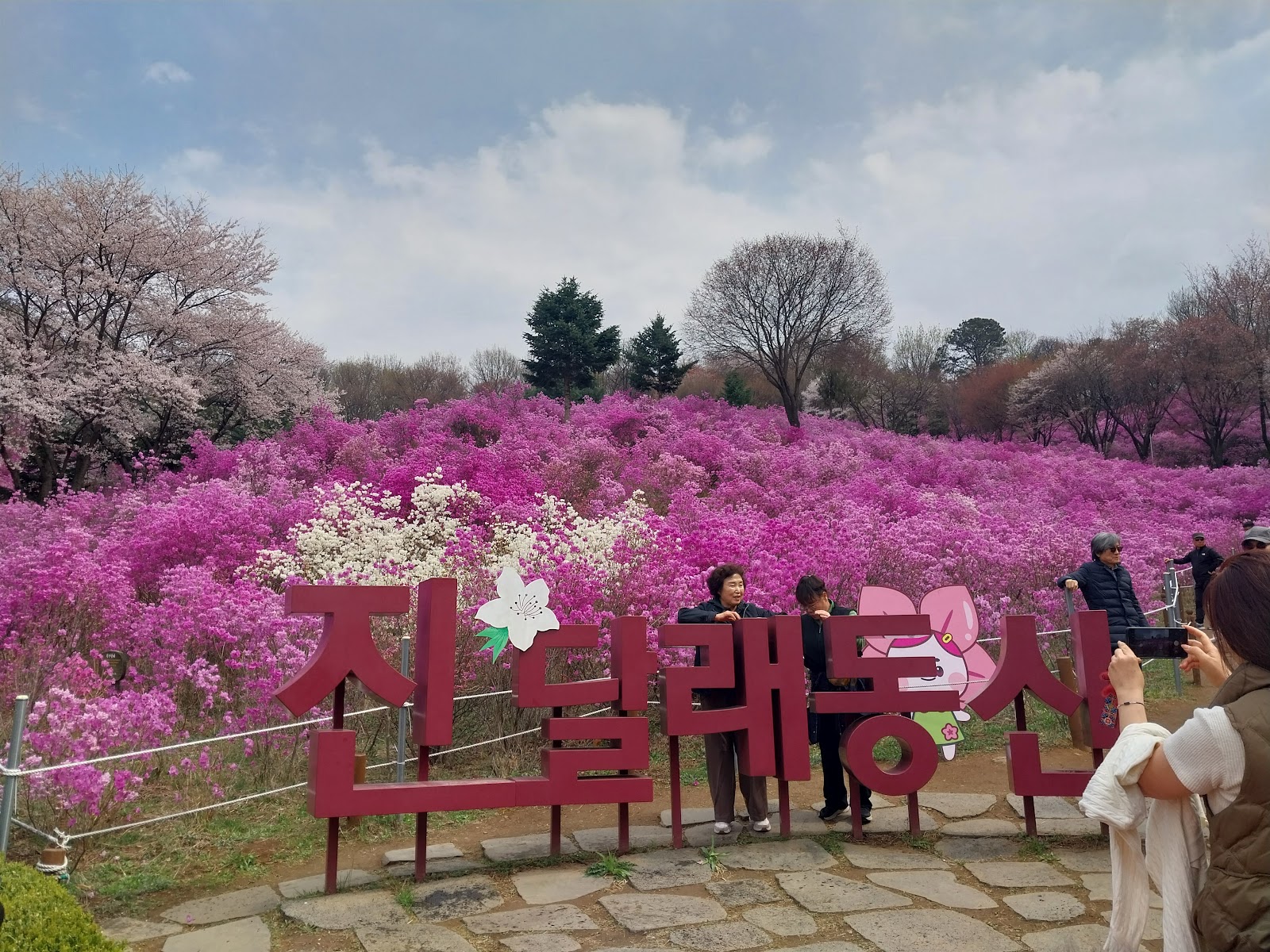 진달래동산 사진