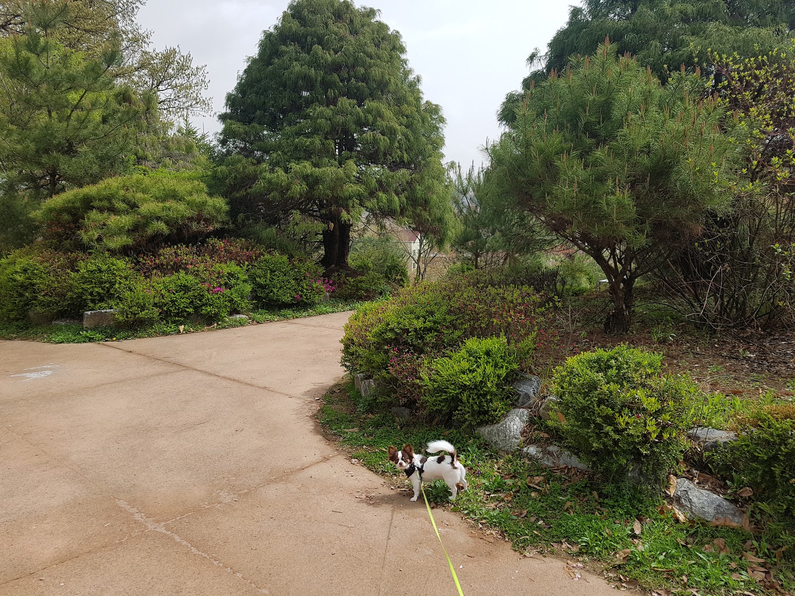문헌서원(오산) 사진
