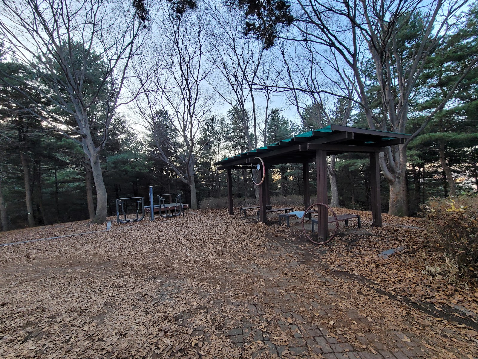 독산성산림욕장 사진