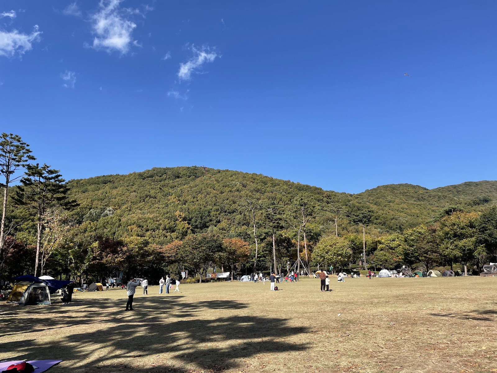 용인 자연휴양림 야영장 사진